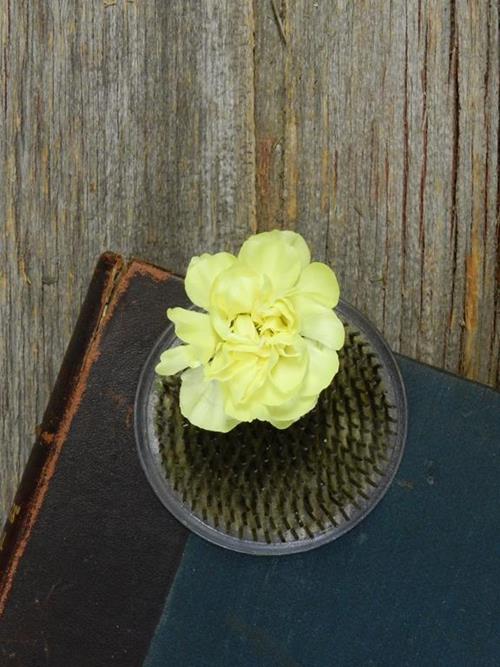 YELLOW MINI CARNATIONS